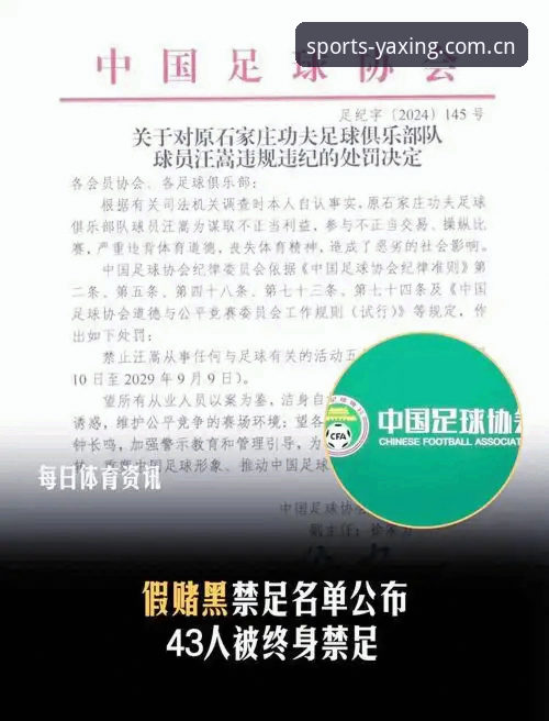 中国足协第三批禁足名单深度分析：从行业乱象看体育公正的技术性反思